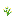 ./assets/minecraft/textures/block/azurebluet.png