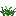 ./assets/minecraft/textures/block/carrotsstage2.png