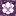 ./assets/minecraft/textures/block/chorusflower.png
