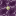 ./assets/minecraft/textures/block/chorusflowerdead.png