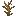 ./assets/minecraft/textures/block/deadbush.png