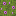 ./assets/minecraft/textures/block/floweringazaleatop.png