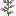 ./assets/minecraft/textures/block/lilacbottom.png