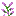 ./assets/minecraft/textures/block/lilactop.png