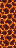 ./assets/minecraft/textures/block/magma.png