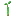 ./assets/minecraft/textures/block/mangrovepropagule.png