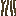./assets/minecraft/textures/block/mangroverootsside.png