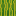 ./assets/minecraft/textures/block/melonside.png