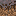 ./assets/minecraft/textures/block/myceliumside.png