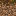 ./assets/minecraft/textures/block/podzolside.png