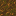 ./assets/minecraft/textures/block/podzoltop.png