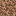 ./assets/minecraft/textures/block/rooteddirt.png