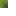 ./assets/minecraft/textures/block/smalldripleaftop.png