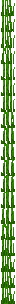 ./assets/minecraft/textures/block/tallseagrassbottom.png